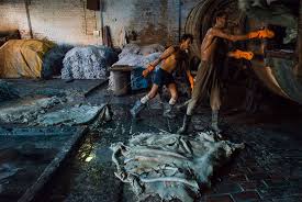 Leather Tanning