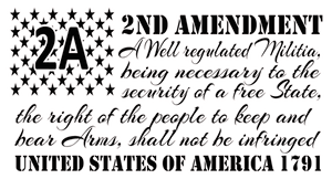 2ND Amendment Flag Unisex t-shirt