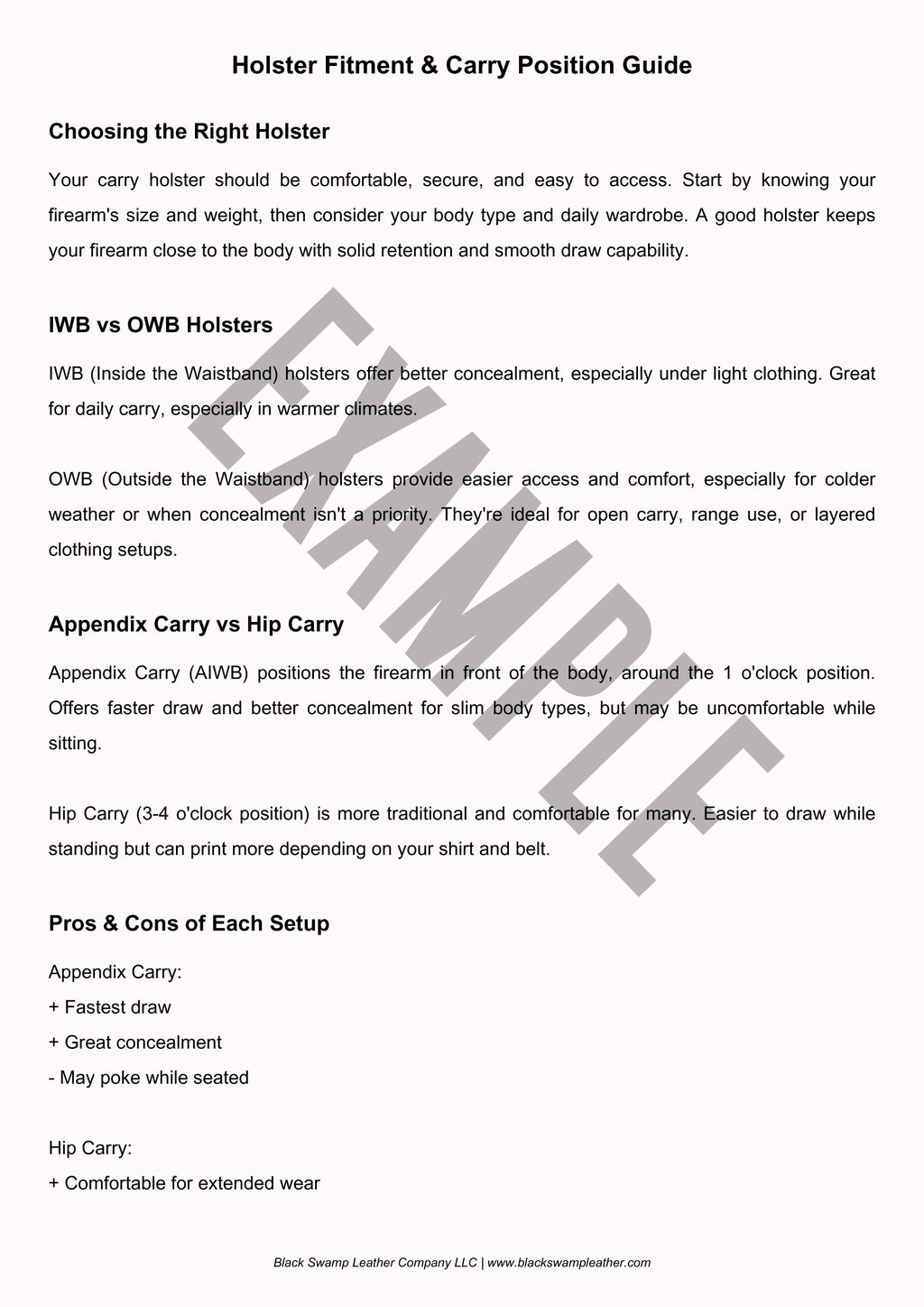 Holster Fitment And Carry Position Guide