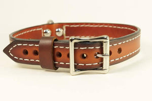 Leather Dog Collars - Black Swamp Leather Company