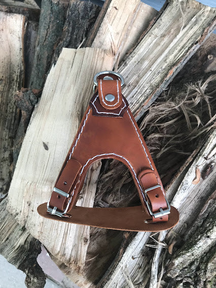 Dog Harness - Black Swamp Leather Company